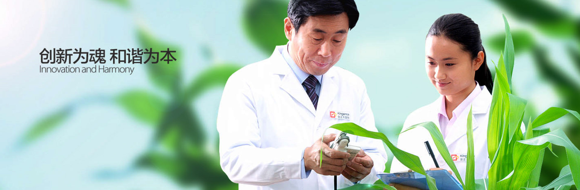 3年奠定10年地位         