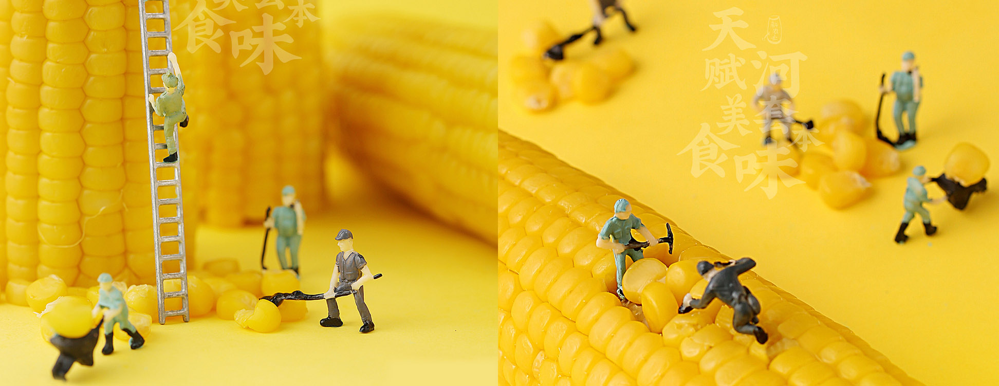 地域农食赋予IP人格魅力体，冲破同质化藩篱